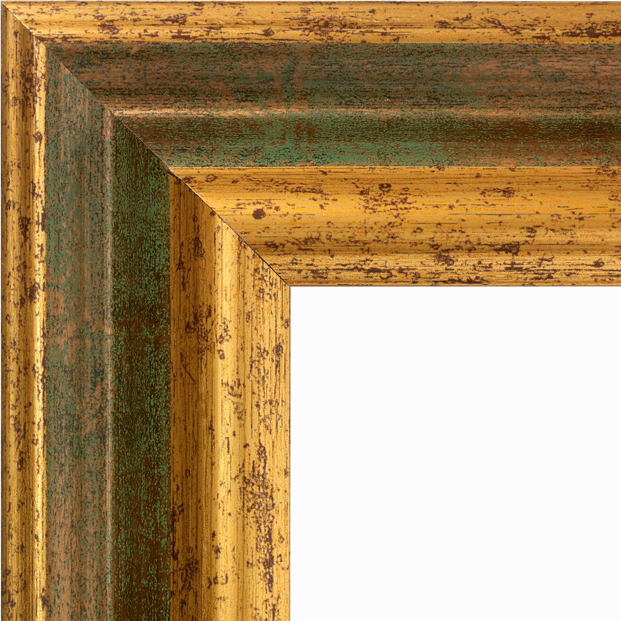 Paperella Oro gola verde - immagine 3