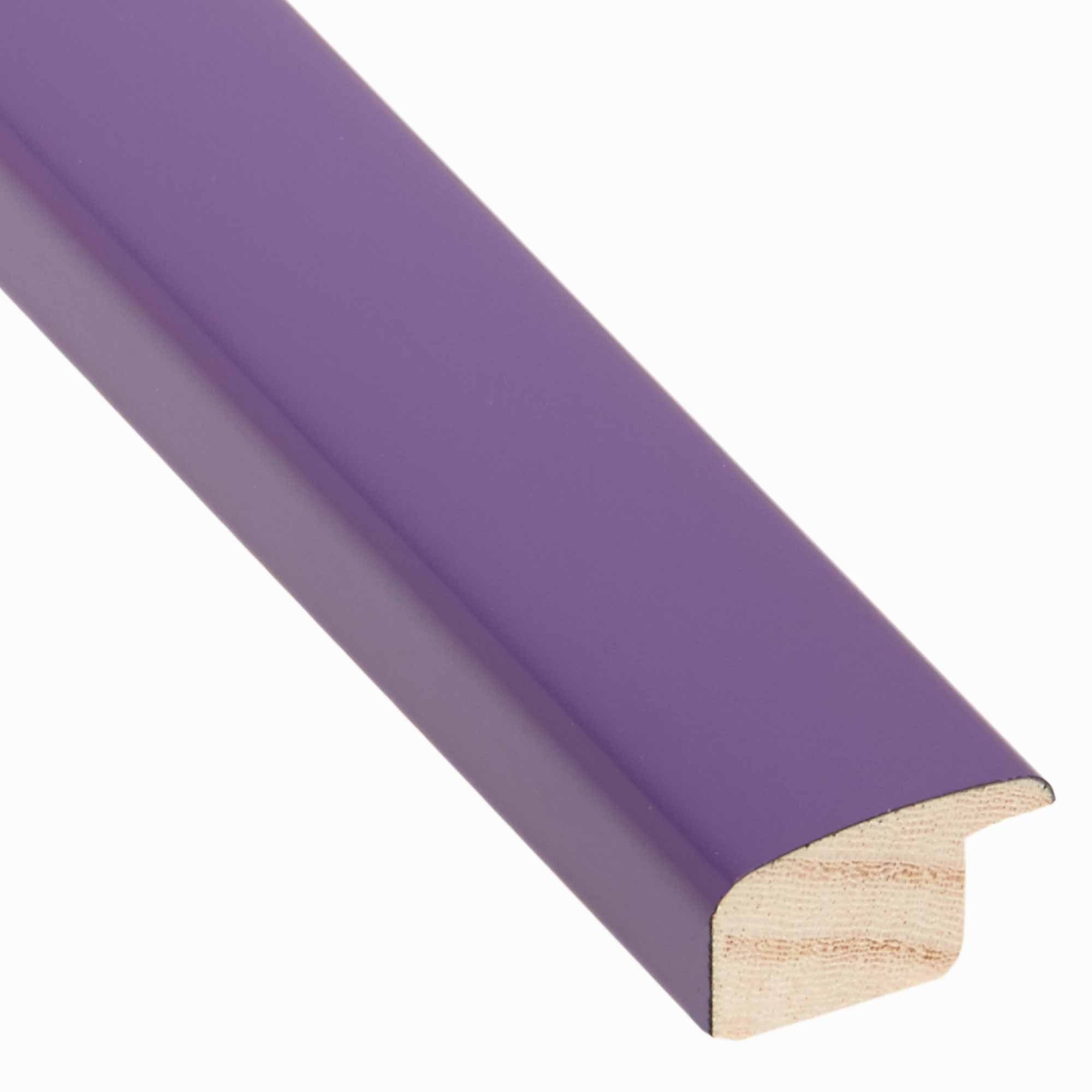 Bomber M Lucido Viola lucido